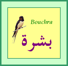 Bouchra — 
   ​بشرة​

