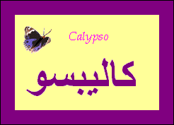 Calypso — 
   ​كاليبسو​
