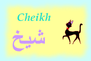 Cheikh — 
   ​شيخ​
