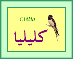 Clelia — 
   ​كليليا​
