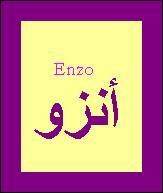Enzo — 
   ​أنزو​
