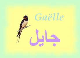 Gaëlle — 
   ​جايل​
