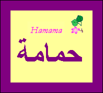 Hamama — 
   ​حمامة​
