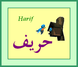 Harif — 
   ​حريف​
