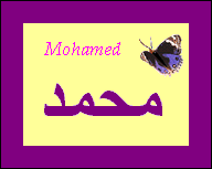 Mohamed — 
   ​محمد​
